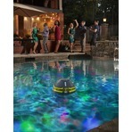 ryobi speaker for pool